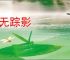 渺无踪影