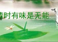 清时有味是无能