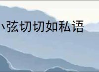 小弦切切如私语