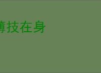 薄技在身