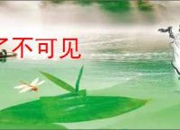 了不可见