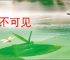 了不可见
