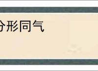分形同气