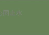 心同止水