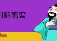 别鹤离鸾