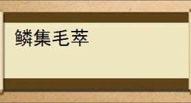 鳞集毛萃