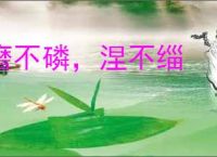 磨不磷，涅不缁