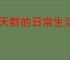 聊天群的日常生活冰蝶队怎么玩,聊天群的日常生活冰蝶队搭配攻略
