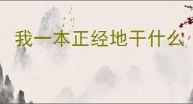 我一本正经地干什么