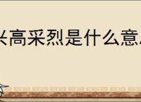 兴高采烈是什么意思