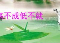 高不成低不就