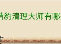 猎豹清理大师有哪些优点