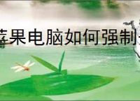 苹果电脑如何强制开机
