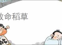 救命稻草