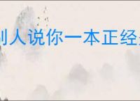 别人说你一本正经是什么意思