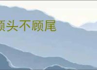 顾头不顾尾