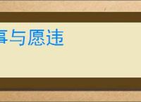 事与愿违