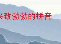 兴致勃勃的拼音