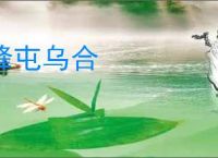 蜂屯乌合