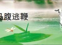 马腹逃鞭