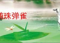 随珠弹雀