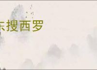 东搜西罗