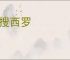 东搜西罗