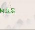 倾柯卫足