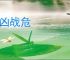 兵凶战危