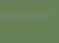 扬扬洒洒的意思