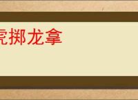 虎掷龙拿