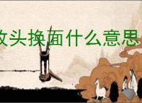 改头换面什么意思