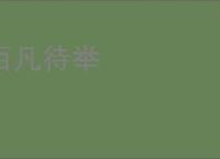 百凡待举