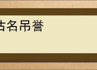 沽名吊誉
