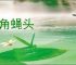 蜗角蝇头
