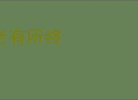 老有所终