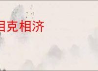 相克相济