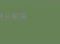 蝇头蜗角