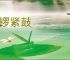 密锣紧鼓