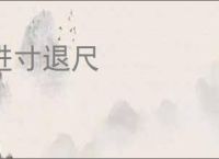 进寸退尺