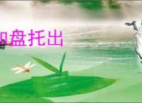 和盘托出