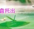 和盘托出