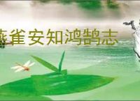 燕雀安知鸿鹄志