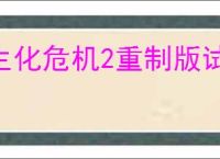 生化危机2重制版试玩版参数错误是咋回事