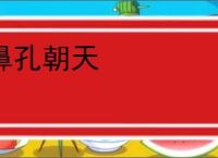 鼻孔朝天