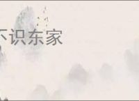 不识东家