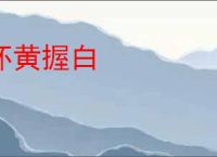怀黄握白