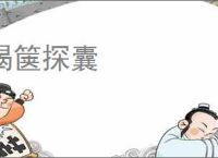 揭箧探囊