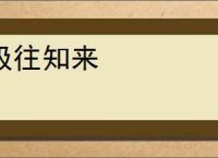 极往知来