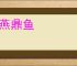 幕燕鼎鱼